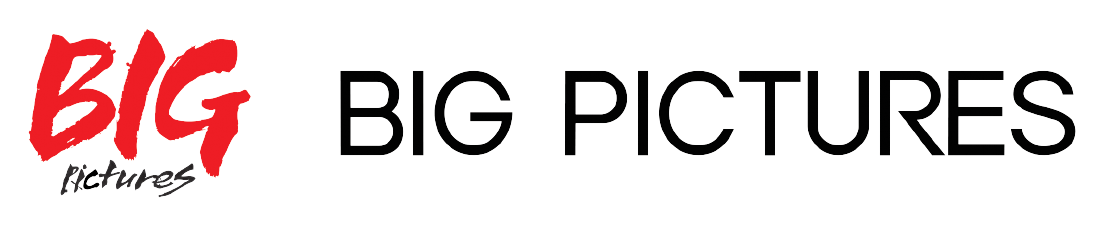 BIG PICTURES Co.,Ltd. logo